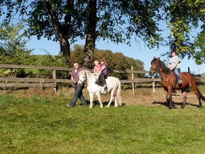 Bild 17 aus  Woferlhof