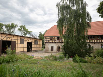 Bild 7 aus  Rittergut Schwanditz