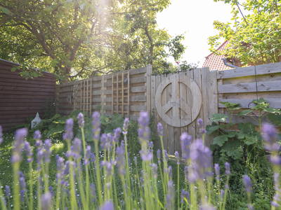 Bild 39 aus  LandSelection Biohof Fehmarn