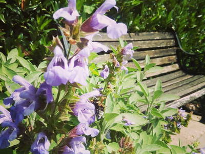 Bild 18 aus  Schloss Neuhausen