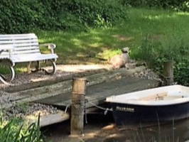 Bootsanleger am Gartenteich