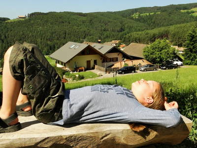 Bild 12 aus  Weberhof - Biobauernhof