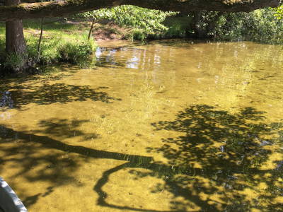 Bild 27 aus  Gästehaus BärenHof