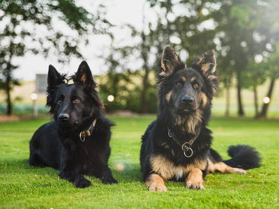 Bild 10 aus  Ferienhof Nordseeblick ****