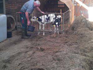 Bild 15 aus  Bauernhof Büchsenschütz