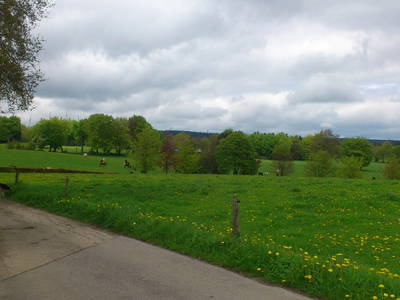 Bild 12 aus  Ferienhof Jansen