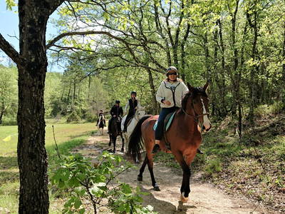 Bild 28 aus  Une Campagne en Provence