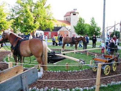 Bild 9 aus  Hof Grüneberg