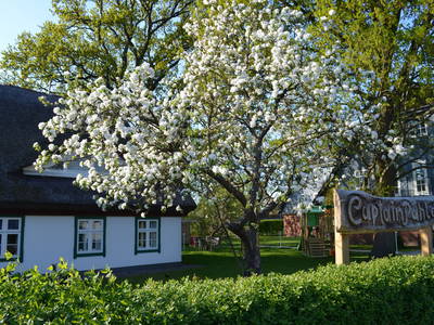 Ihr Zuhause auf Zingst