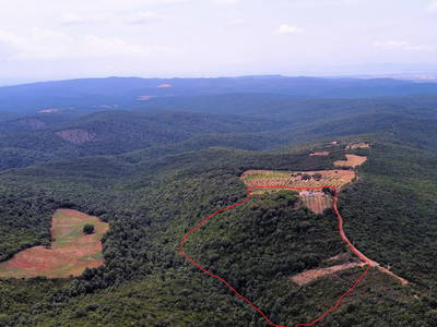 Bild 6 aus  Landhaus in der Toskana