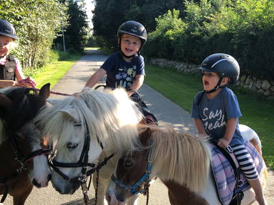 Bild 2 aus  Lindenhof