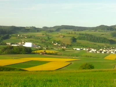 Bild 5 aus  Familien-Bauernhofurlaub im Herzen der Schweiz