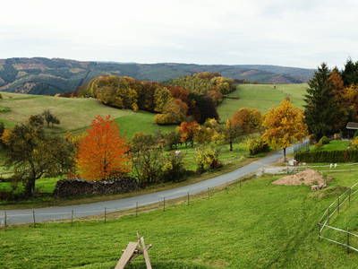 Ferienhäuser mit Feldweg