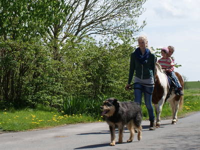 geführtes Ponyreiten