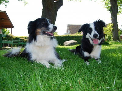 Bild 34 aus  Ahoi Ostsee:  Bauernhof und OstseeUrlaub - Ferienhof Becker in Dahme