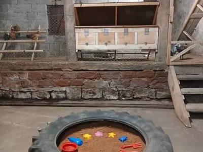 Bild 19 aus  Waldbachhof