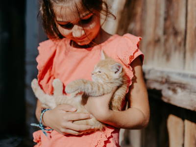 Bild 13 aus  Bauernhofurlaub  Sinnhubgut