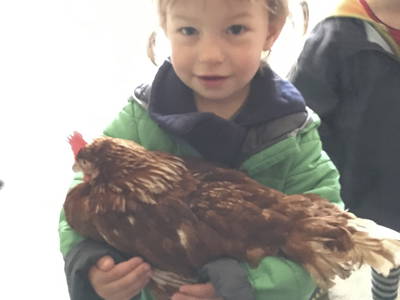 Bild 47 aus  LandSelection Gutshof Käppeler