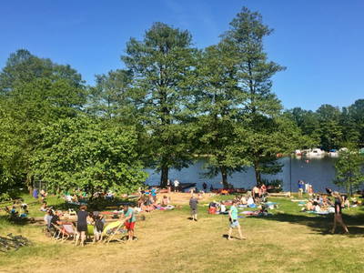 Bild 32 aus  Biber Ferienhof