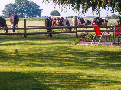 Bild 9 aus  Hof Letsch