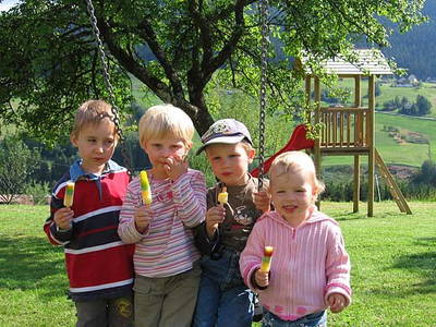 Bild 3 aus  Ferienhaus Labbronnerhof