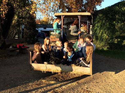 Bild 8 aus  Ferienhof-Marx