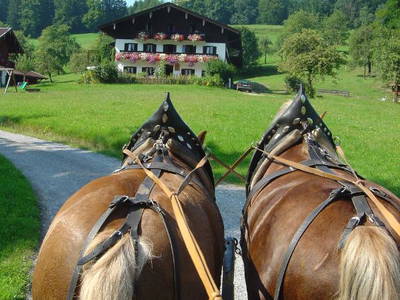 Bild 12 aus  Der Adlerhof