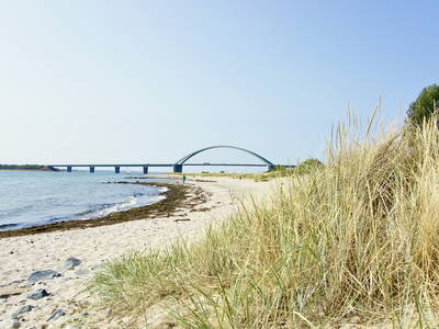 Bild 78 aus  LandSelection Biohof Fehmarn