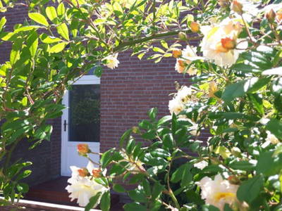 Bild 22 aus  Ferienhof Nielson