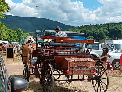 Pferdehof Elmenthal mit Kutschfahrten - ganz in der Nähe
