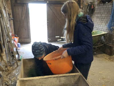 Bild 24 aus  Küstenhof Oldewurtel