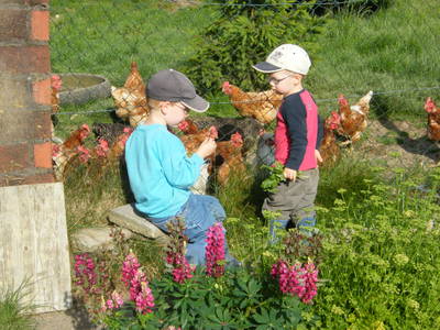 Bild 7 aus  Breuer-Hof