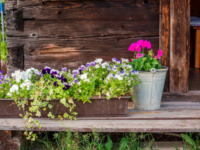 Bild 35 aus  Panoramahof