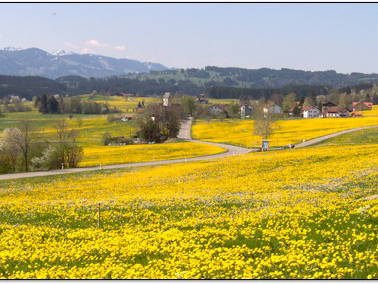 Bild 8 aus  Ferienhof Endras