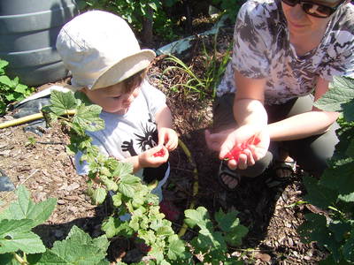 Bild 17 aus  Hanauerhof