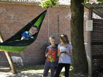 Bild 18 aus  Ferienhof Borchers