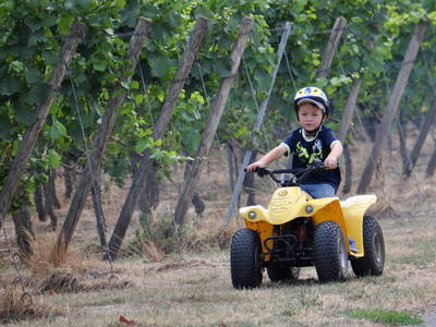 Bild 35 aus  Weingut Butzbach