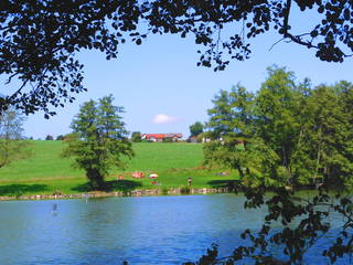 Franzen Hof  Koch aus Irsee