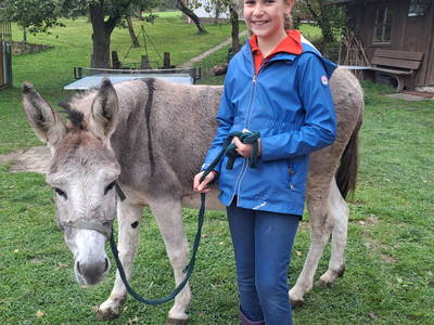 Auch der Esel Vroni mag gern spazieren gehen