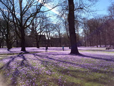 Bild 11 aus  An der See.de