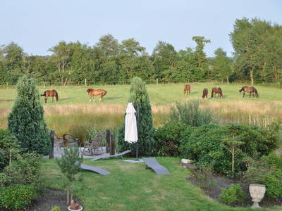 Bild 5 aus  Ferienwohnungen Sund