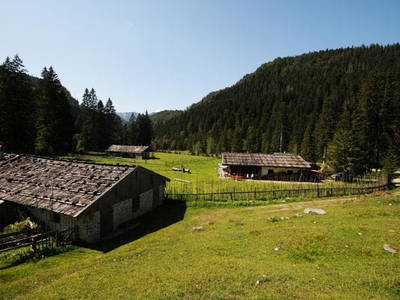 Bild 13 aus  Plenkhof