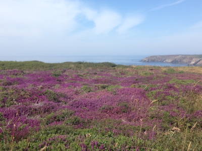 Bild 23 aus  Ferien in der Bretagne am Meer