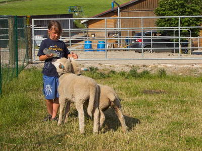 Bild 14 aus  Ferienhof Neher