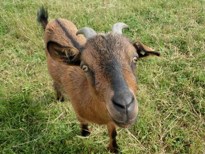 Bild 13 aus  Sonnenlandhof