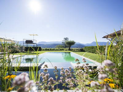 Bild 7 aus  Traubenhof    Pures Leben-Echt und natürlich