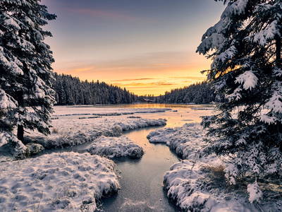 Bild 56 aus  Arber Lofts