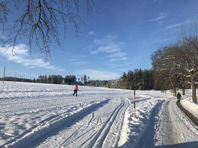 Bild 47 aus  Pension Baarblick