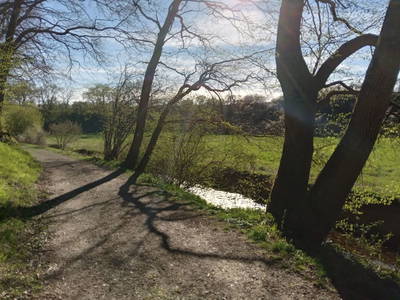 Bild 13 aus  Ferienbauernhof Neumühle