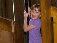 Bild 24 aus  Gasthof zum Grünen Baum